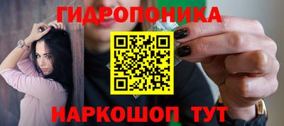 шишки Пугачёв