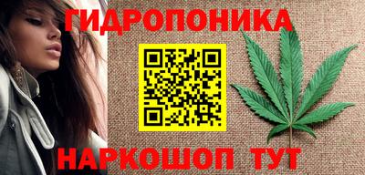 шишки Пугачёв
