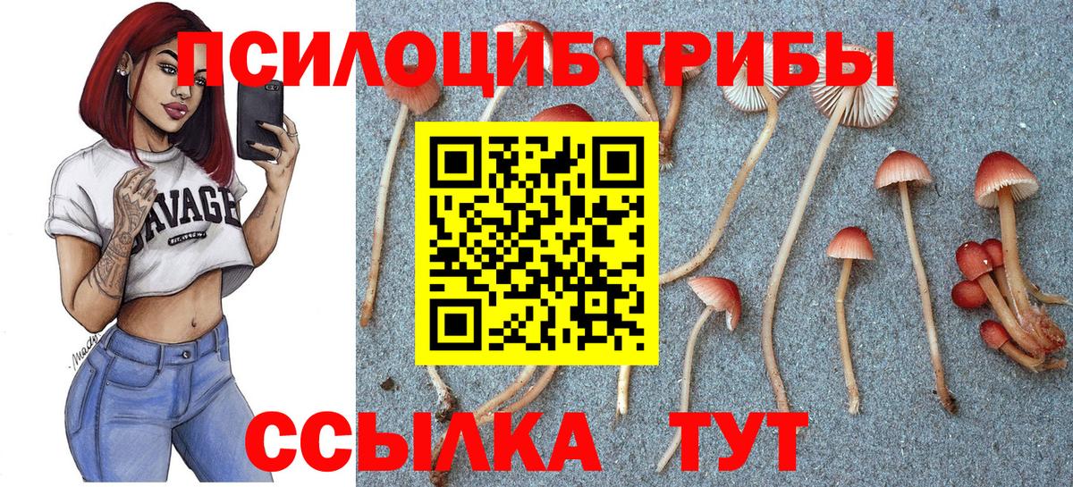 Галлюциногенные грибы Cubensis  Псилоцибиновые грибы Psilocybe  Соликамск  Вход с VPN 